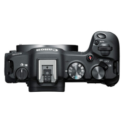 Canon R8 Body