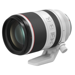 Canon RF 70-200mm f/2.8 L IS USM Lens
