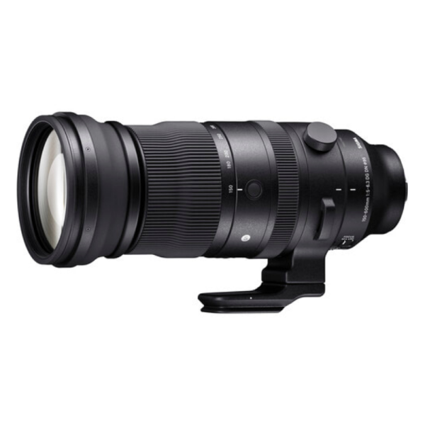 Sigma 150-600mm f5-6.3 DG Sports Sony E